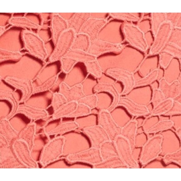 Astr Lace Body-Con Dress NWT - Picture 7 of 7